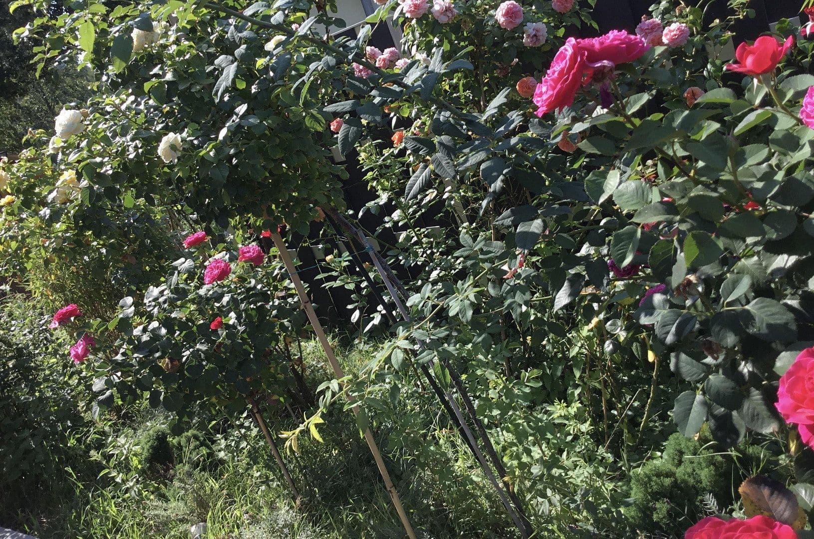 house for sale, 324 m², Potsdam, Brandenburg house for sale, 324 m², Potsdam, Brandenburg