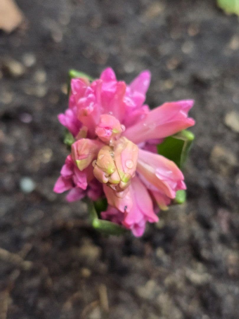 2 bedroom flat to rent, 43 m², Rothenburger Str. 55, Nürnberg, Bavaria 2 bedroom flat to rent, 43 m², Rothenburger Str. 55, Nürnberg, Bavaria