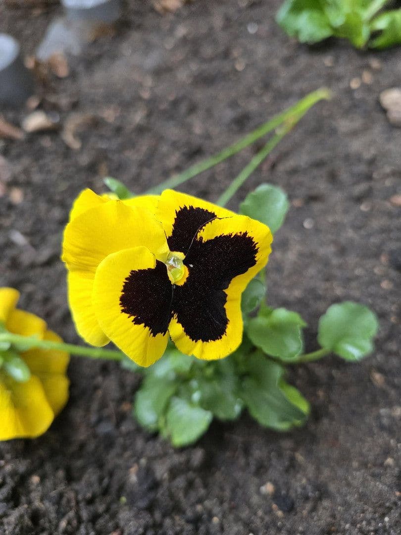 2 bedroom flat to rent, 43 m², Rothenburger Str. 55, Nürnberg, Bavaria 2 bedroom flat to rent, 43 m², Rothenburger Str. 55, Nürnberg, Bavaria