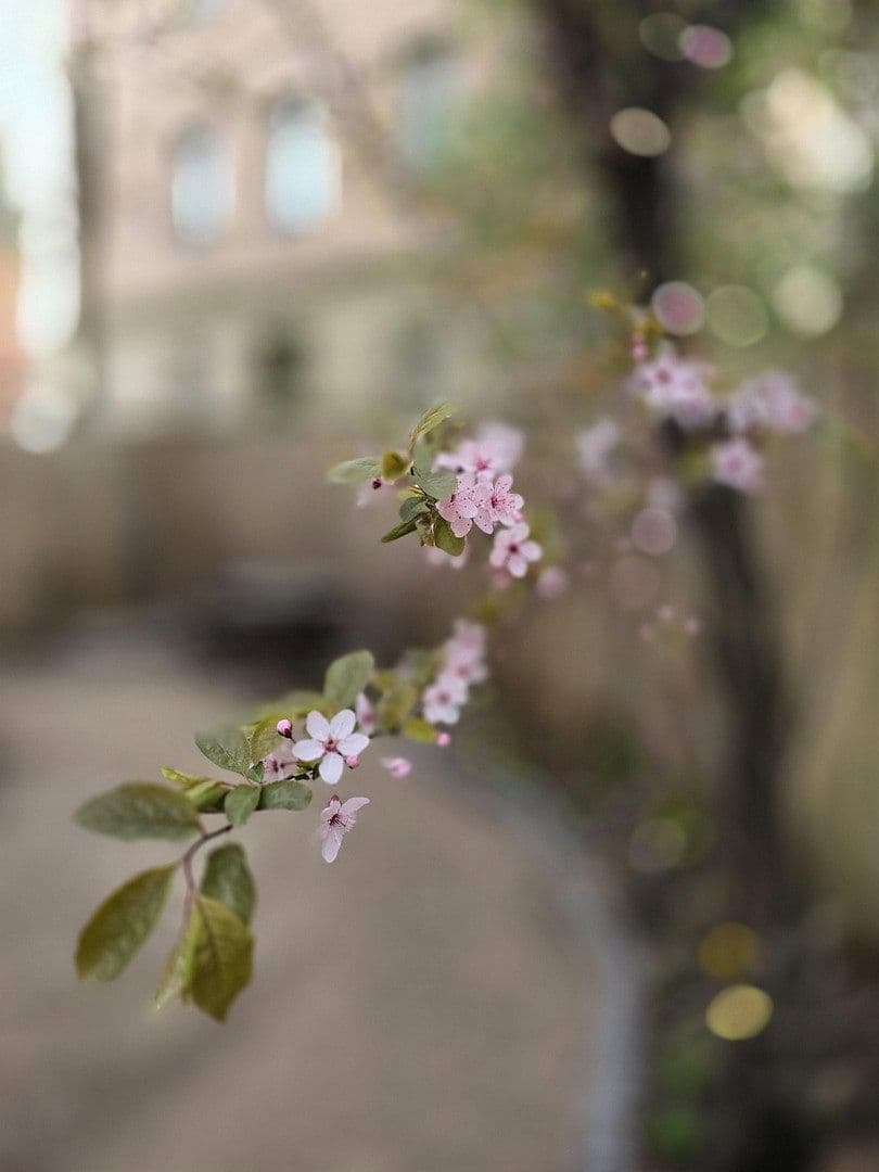 2 bedroom flat to rent, 43 m², Rothenburger Str. 55, Nürnberg, Bavaria 2 bedroom flat to rent, 43 m², Rothenburger Str. 55, Nürnberg, Bavaria