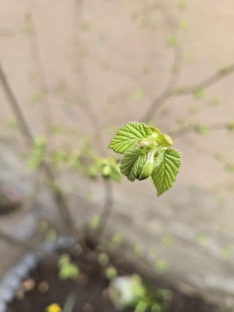 2 bedroom flat to rent, 43 m², Rothenburger Str. 55, Nürnberg, Bavaria 2 bedroom flat to rent, 43 m², Rothenburger Str. 55, Nürnberg, Bavaria