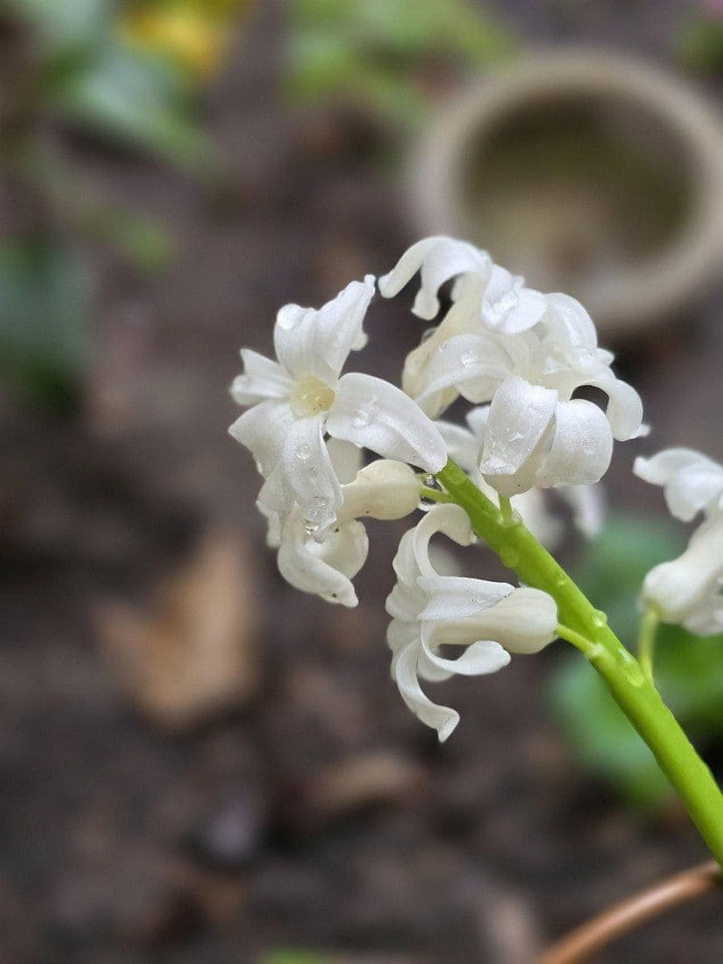 2 bedroom flat to rent, 43 m², Rothenburger Str. 55, Nürnberg, Bavaria 2 bedroom flat to rent, 43 m², Rothenburger Str. 55, Nürnberg, Bavaria