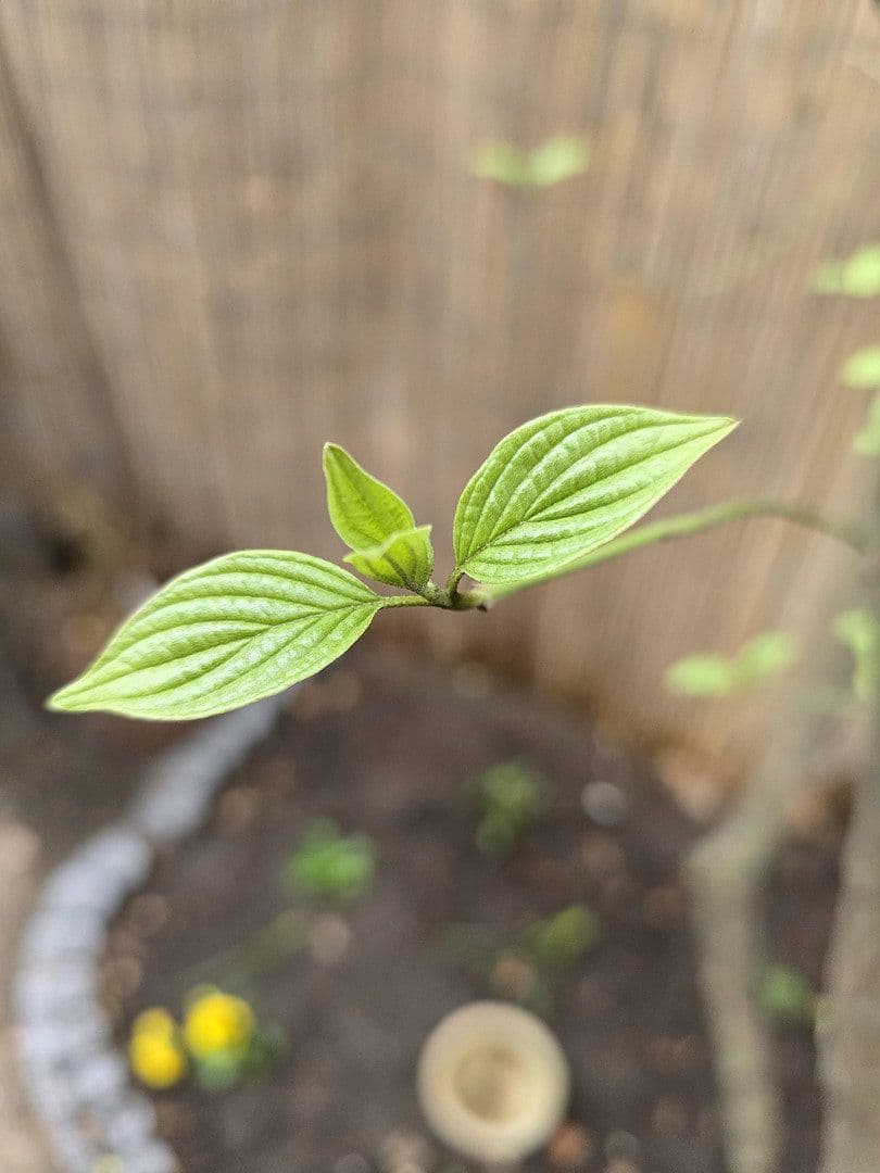 2 bedroom flat to rent, 43 m², Rothenburger Str. 55, Nürnberg, Bavaria 2 bedroom flat to rent, 43 m², Rothenburger Str. 55, Nürnberg, Bavaria