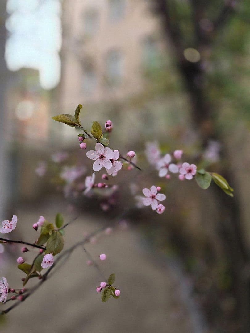 2 bedroom flat to rent, 43 m², Rothenburger Str. 55, Nürnberg, Bavaria 2 bedroom flat to rent, 43 m², Rothenburger Str. 55, Nürnberg, Bavaria