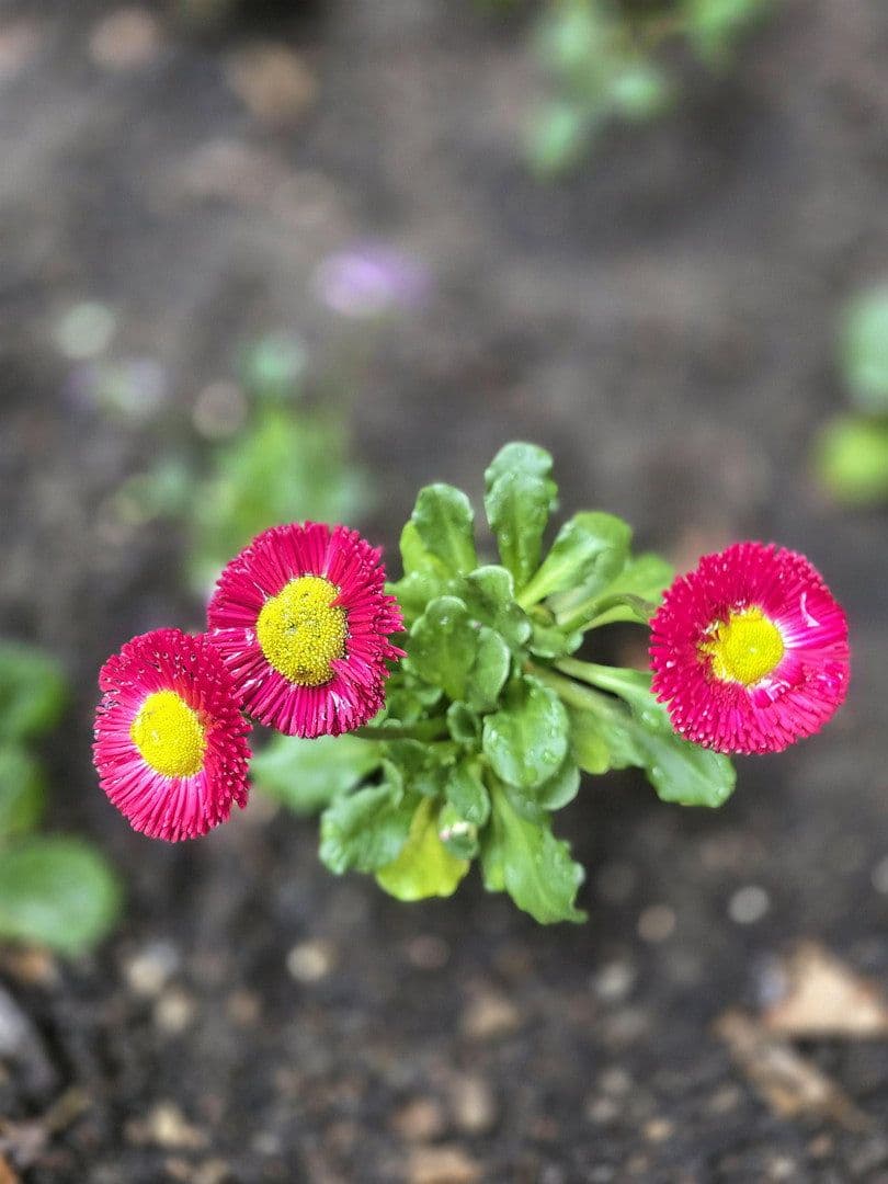 2 bedroom flat to rent, 43 m², Rothenburger Str. 55, Nürnberg, Bavaria 2 bedroom flat to rent, 43 m², Rothenburger Str. 55, Nürnberg, Bavaria