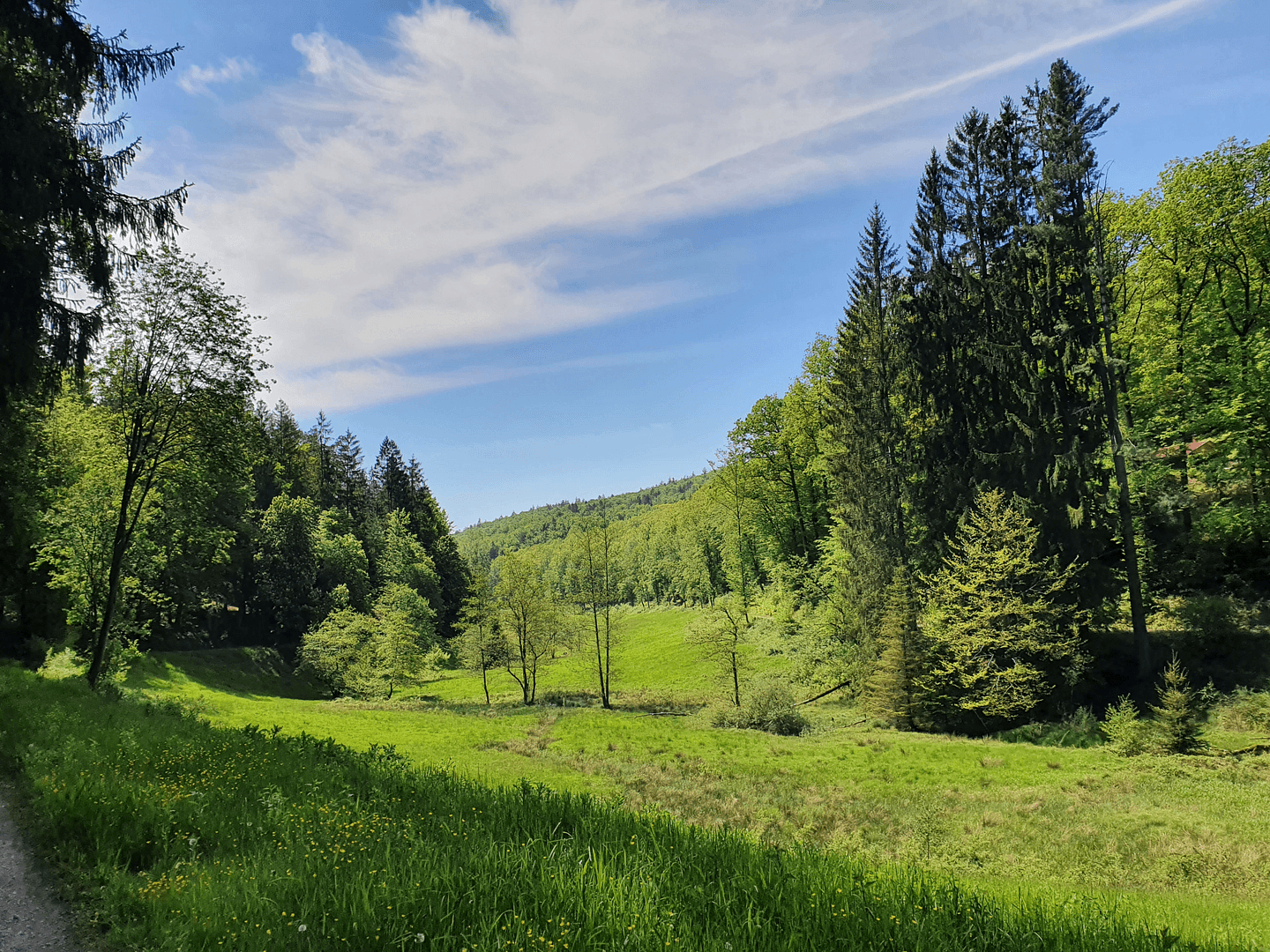 2 bedroom with open-plan kitchen flat for sale, 92 m², Neustadt am Main, Bavaria 2 bedroom with open-plan kitchen flat for sale, 92 m², Neustadt am Main, Bavaria