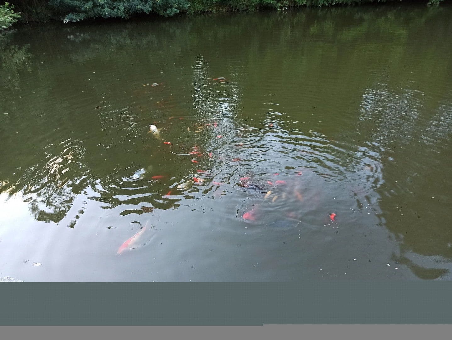 house for sale, 500 m², Altenkirchen (Westerwald), Rhineland-Palatinate house for sale, 500 m², Altenkirchen (Westerwald), Rhineland-Palatinate