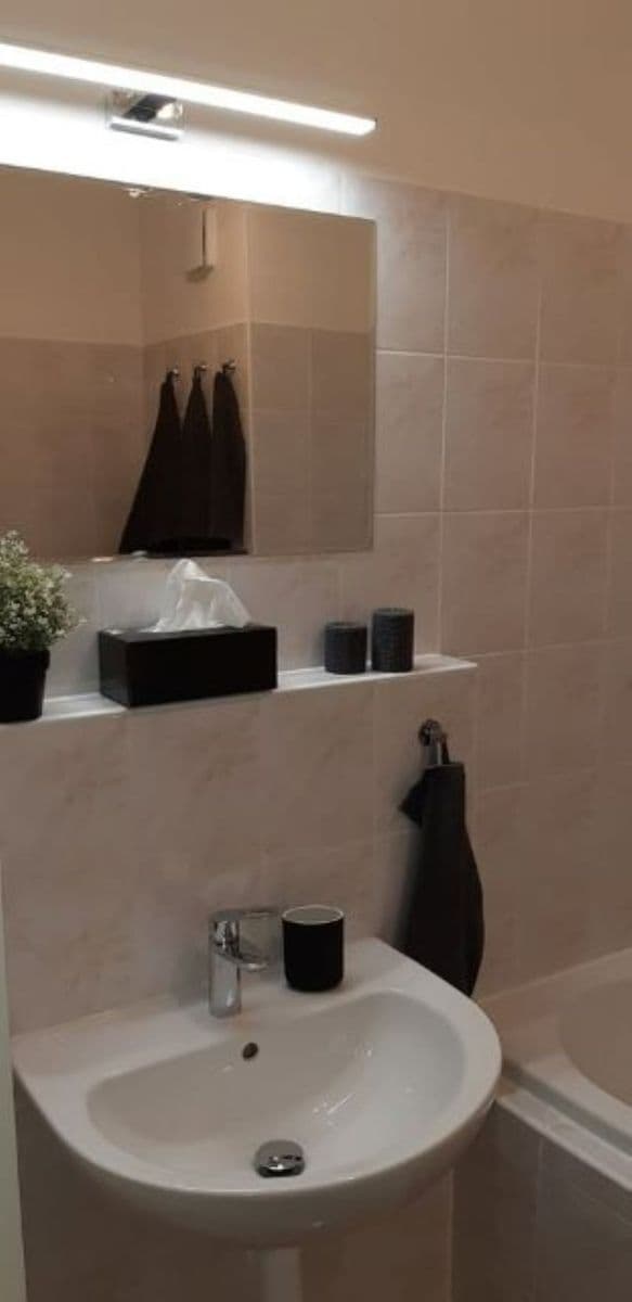 1 bedroom with open-plan kitchen flat to rent, 52 m², Mattioliho, Prague, Prague 1 bedroom with open-plan kitchen flat to rent, 52 m², Mattioliho, Prague, Prague