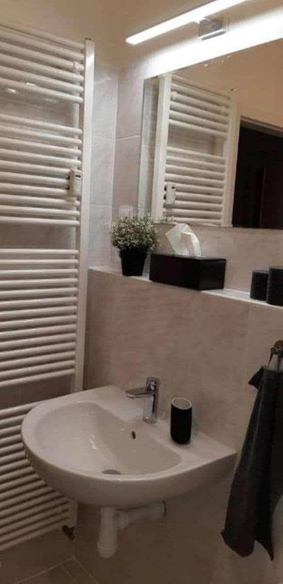 1 bedroom with open-plan kitchen flat to rent, 52 m², Mattioliho, Prague, Prague 1 bedroom with open-plan kitchen flat to rent, 52 m², Mattioliho, Prague, Prague