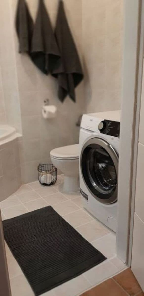 1 bedroom with open-plan kitchen flat to rent, 52 m², Mattioliho, Prague, Prague 1 bedroom with open-plan kitchen flat to rent, 52 m², Mattioliho, Prague, Prague