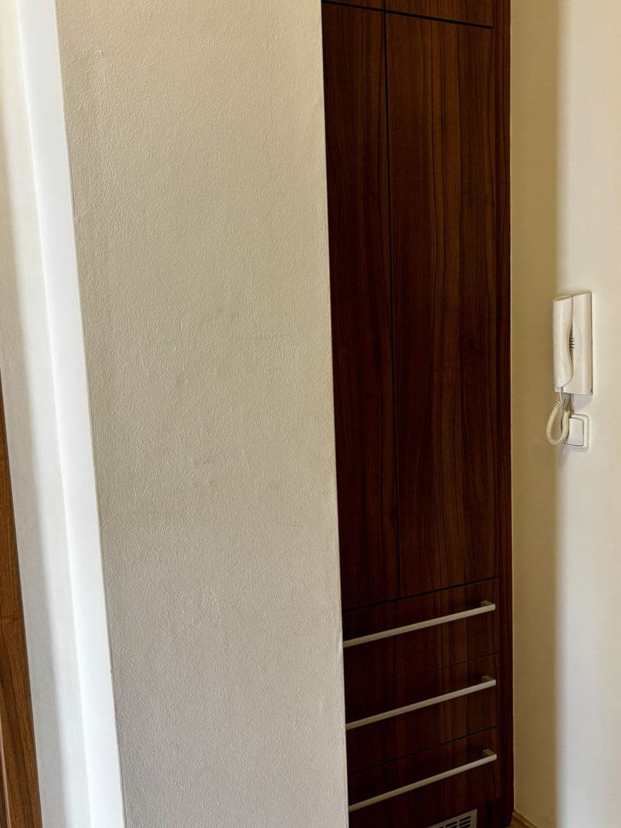 1 bedroom with open-plan kitchen flat for sale, 58 m², Čeňka Růžičky, Brno, Jihomoravský Region 1 bedroom with open-plan kitchen flat for sale, 58 m², Čeňka Růžičky, Brno, Jihomoravský Region