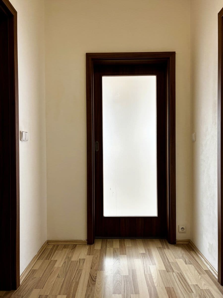 1 bedroom with open-plan kitchen flat for sale, 58 m², Čeňka Růžičky, Brno, Jihomoravský Region 1 bedroom with open-plan kitchen flat for sale, 58 m², Čeňka Růžičky, Brno, Jihomoravský Region