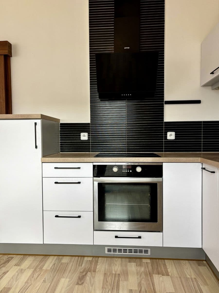 1 bedroom with open-plan kitchen flat for sale, 58 m², Čeňka Růžičky, Brno, Jihomoravský Region 1 bedroom with open-plan kitchen flat for sale, 58 m², Čeňka Růžičky, Brno, Jihomoravský Region