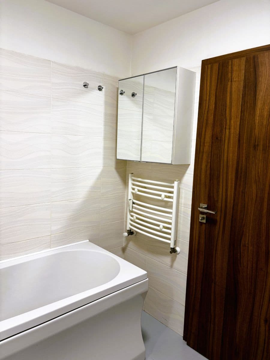 1 bedroom with open-plan kitchen flat for sale, 58 m², Čeňka Růžičky, Brno, Jihomoravský Region 1 bedroom with open-plan kitchen flat for sale, 58 m², Čeňka Růžičky, Brno, Jihomoravský Region