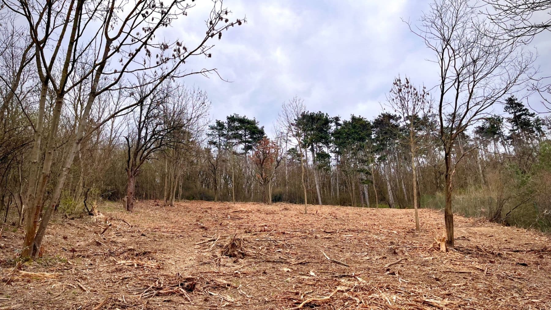 plot for sale, 511 m², Chodouň, Středočeský Region plot for sale, 511 m², Chodouň, Středočeský Region