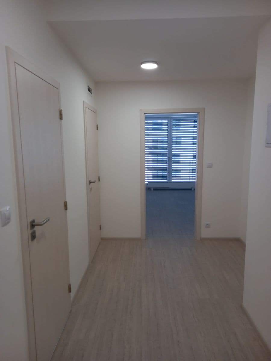1 bedroom with open-plan kitchen flat to rent, 61 m², Sportovní, Brno, Jihomoravský Region 1 bedroom with open-plan kitchen flat to rent, 61 m², Sportovní, Brno, Jihomoravský Region
