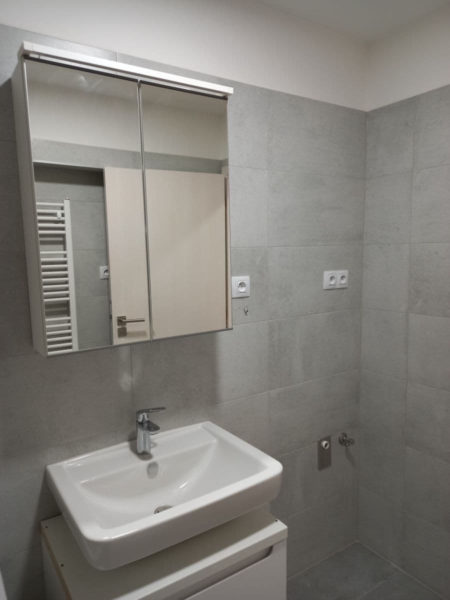 1 bedroom with open-plan kitchen flat to rent, 61 m², Sportovní, Brno, Jihomoravský Region 1 bedroom with open-plan kitchen flat to rent, 61 m², Sportovní, Brno, Jihomoravský Region