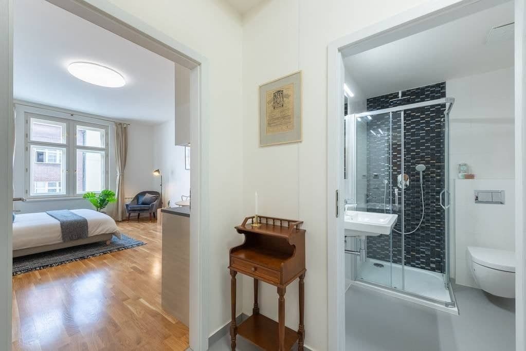 Studio flat to rent, 32 m², Ondříčkova, Prague, Prague Studio flat to rent, 32 m², Ondříčkova, Prague, Prague