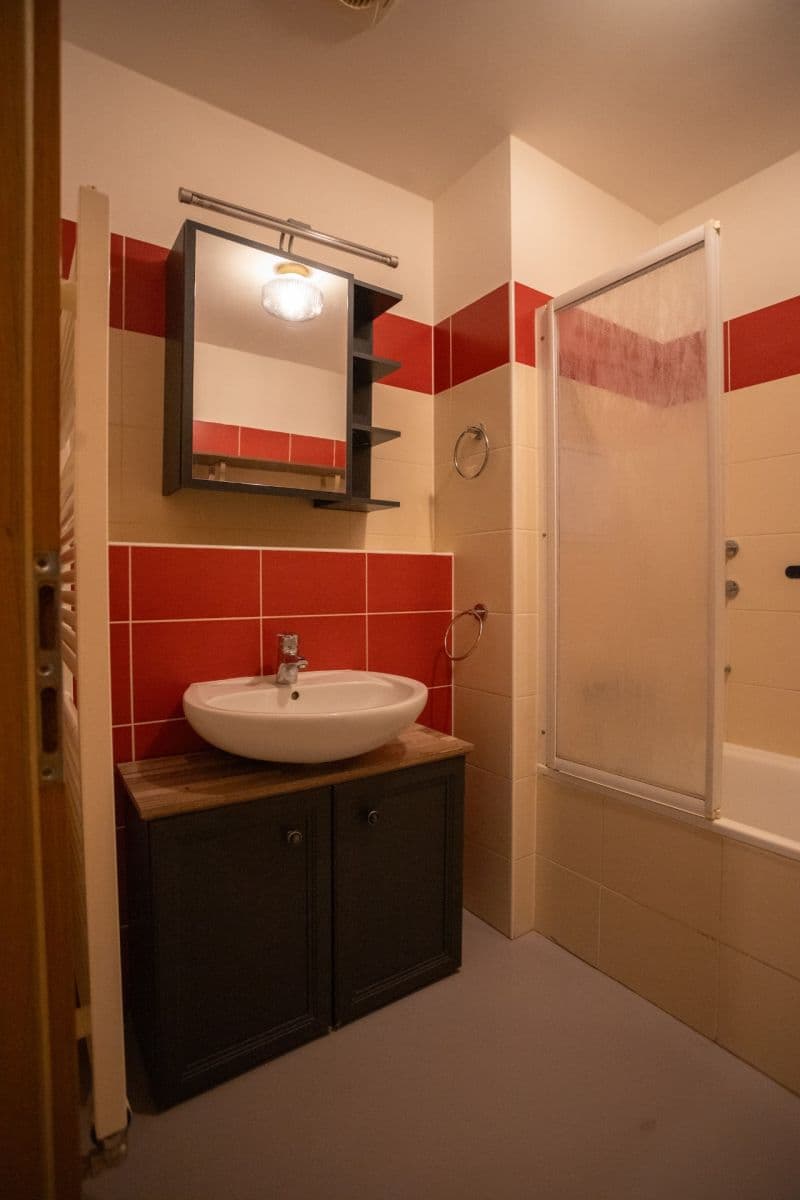 2 bedroom with open-plan kitchen flat to rent, 60 m², Paťanka, Prague, Prague 2 bedroom with open-plan kitchen flat to rent, 60 m², Paťanka, Prague, Prague