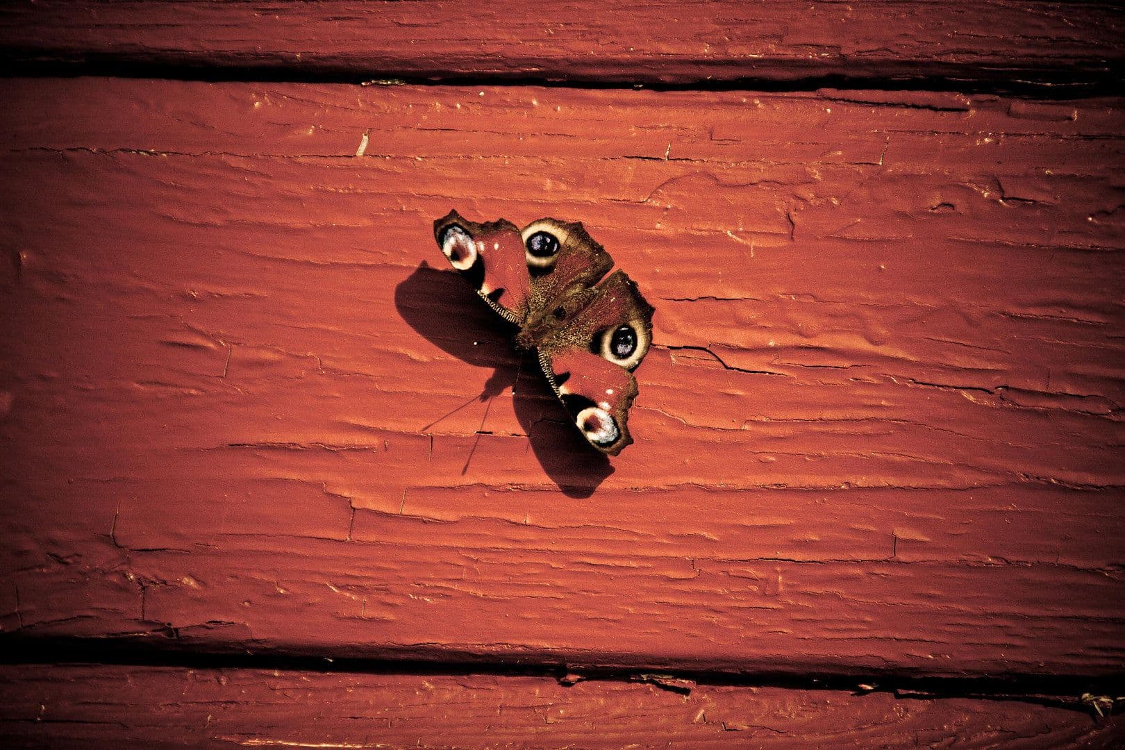 house for sale, 52 m², Goldberg, Mecklenburg-Vorpommern house for sale, 52 m², Goldberg, Mecklenburg-Vorpommern