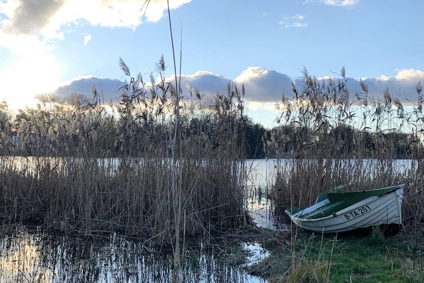 house for sale, 200 m², Falkensee, Brandenburg house for sale, 200 m², Falkensee, Brandenburg