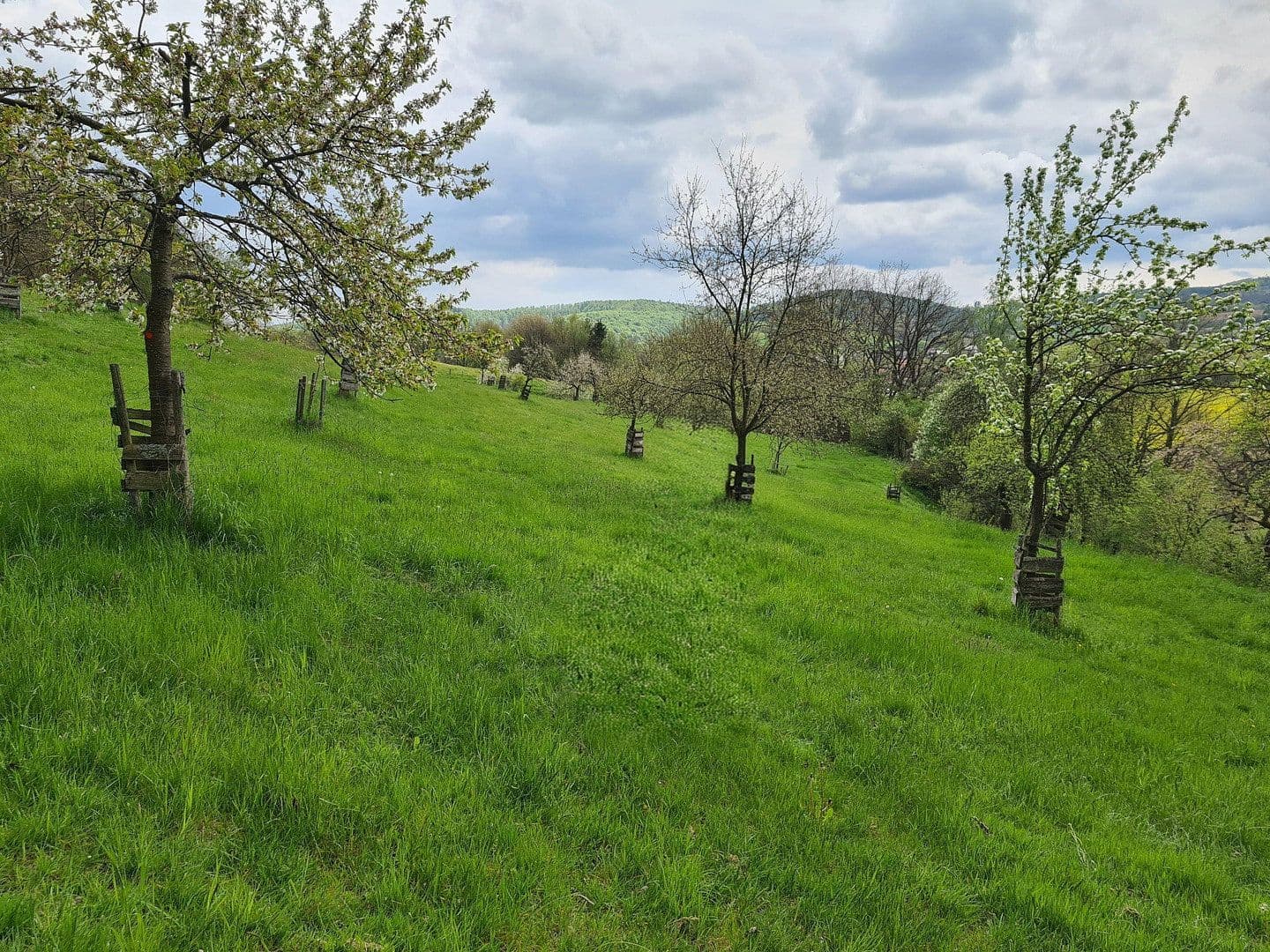 house for sale, 590 m², Liedemühle 1, Neuenstein, Hesse house for sale, 590 m², Liedemühle 1, Neuenstein, Hesse