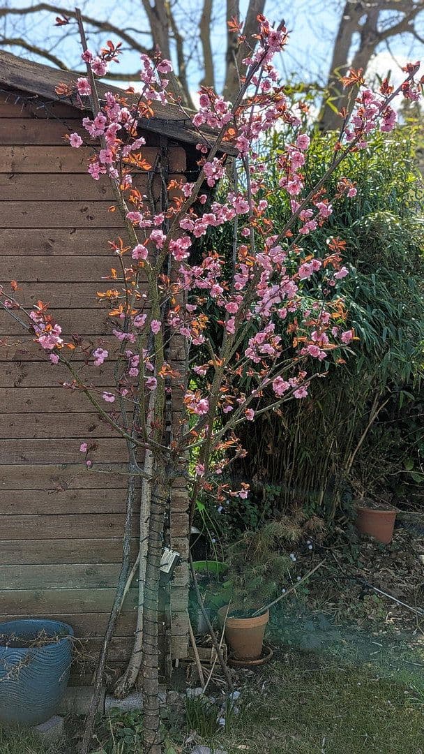 house for sale, 127 m², Hamburg, Hamburg house for sale, 127 m², Hamburg, Hamburg