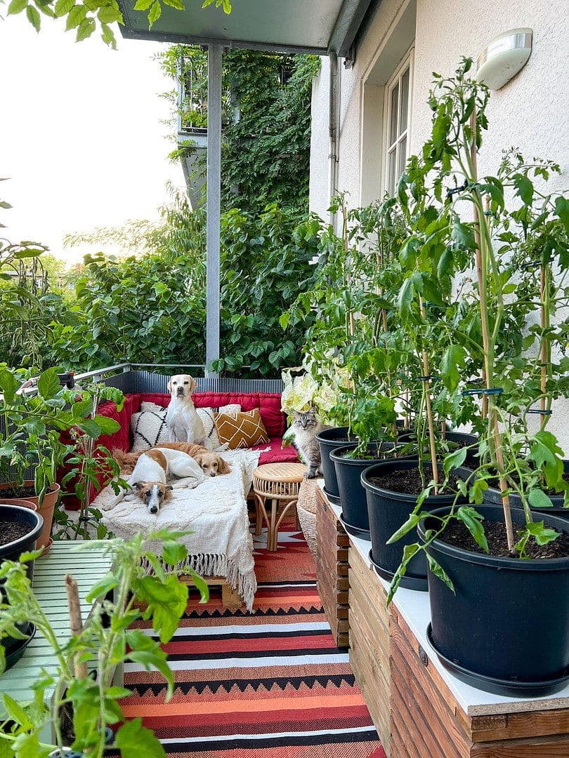 4 bedroom flat for sale, 110 m², Hohenzollernring 18c, Berlin, Berlin 4 bedroom flat for sale, 110 m², Hohenzollernring 18c, Berlin, Berlin