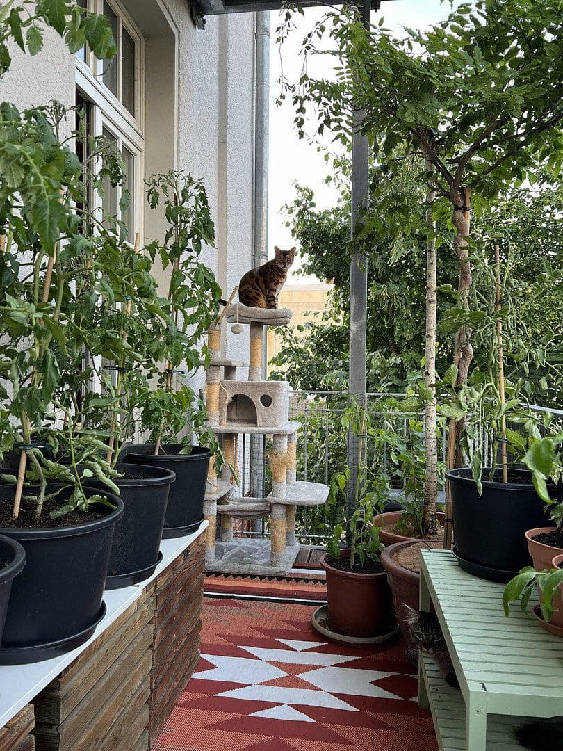 4 bedroom flat for sale, 110 m², Hohenzollernring 18c, Berlin, Berlin 4 bedroom flat for sale, 110 m², Hohenzollernring 18c, Berlin, Berlin