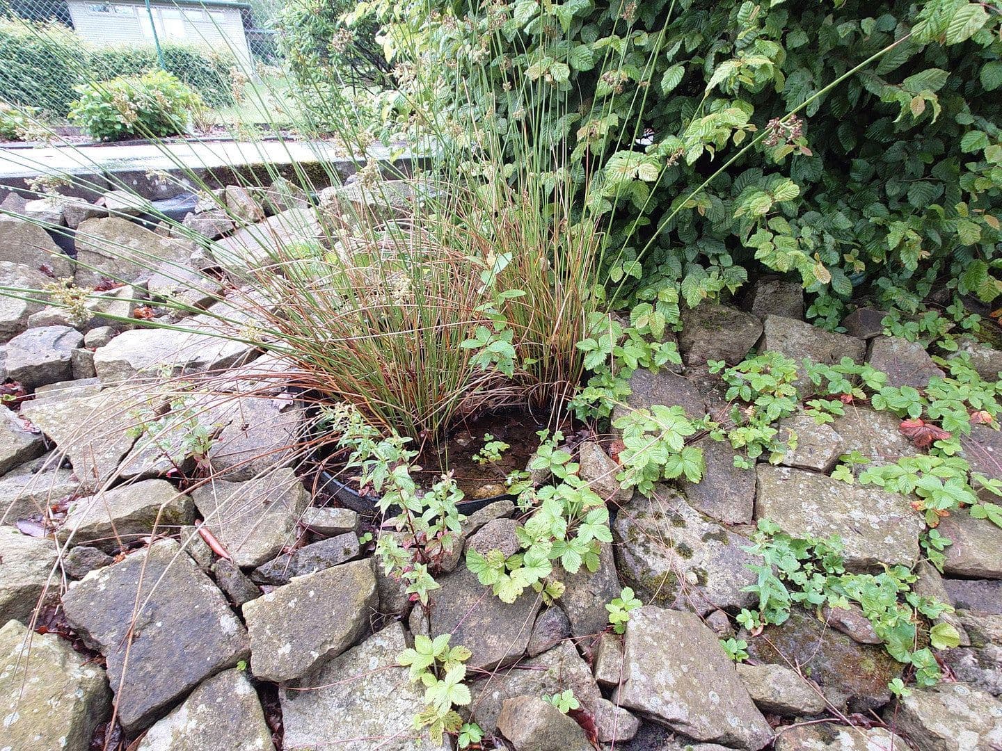 2 bedroom flat to rent, 55 m², Minden, North Rhine-Westphalia 2 bedroom flat to rent, 55 m², Minden, North Rhine-Westphalia