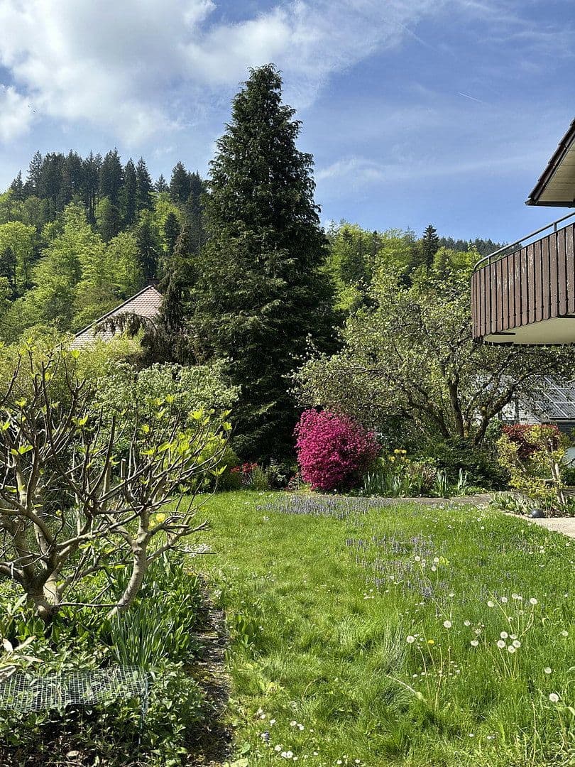 house for sale, 356 m², Freiburg, Baden-Württemberg house for sale, 356 m², Freiburg, Baden-Württemberg