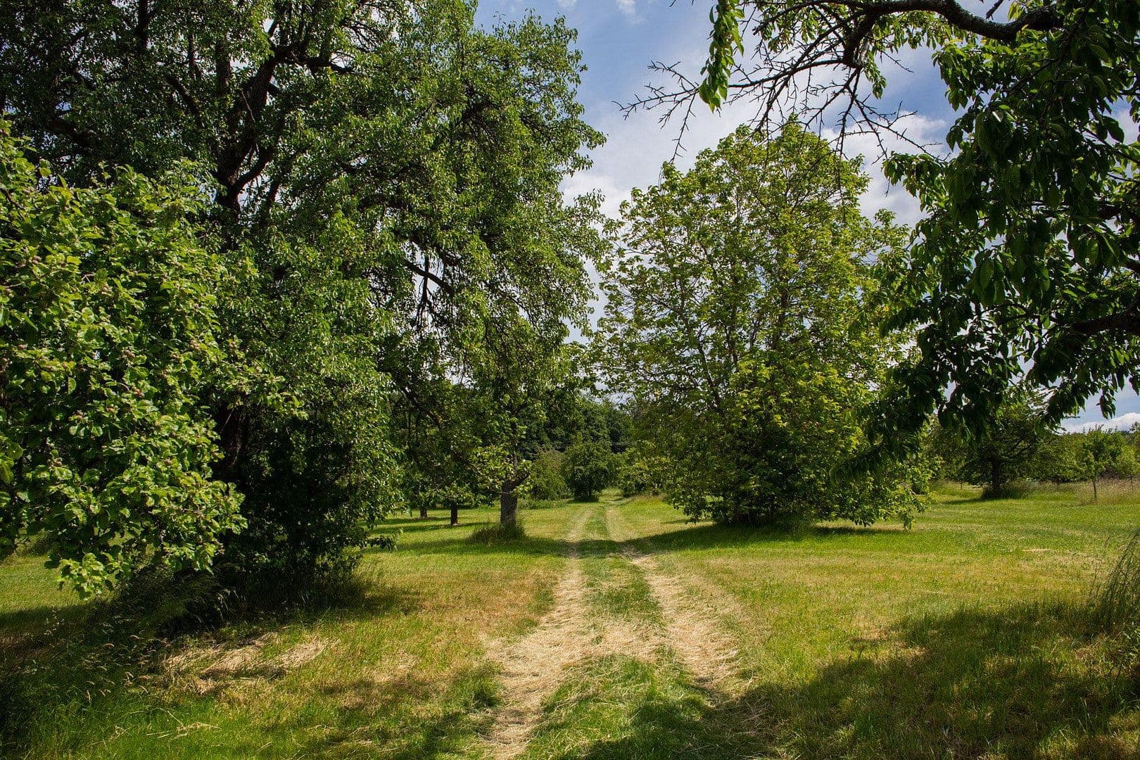 1 bedroom flat to rent, 74 m², Neuenbürg, Baden-Württemberg 1 bedroom flat to rent, 74 m², Neuenbürg, Baden-Württemberg