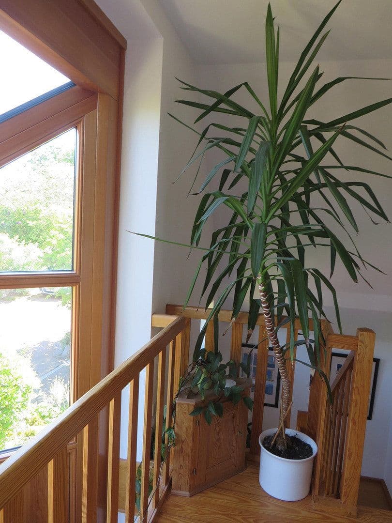 house for sale, 170 m², Hamburg, Hamburg house for sale, 170 m², Hamburg, Hamburg