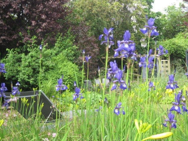 house for sale, 170 m², Hamburg, Hamburg house for sale, 170 m², Hamburg, Hamburg