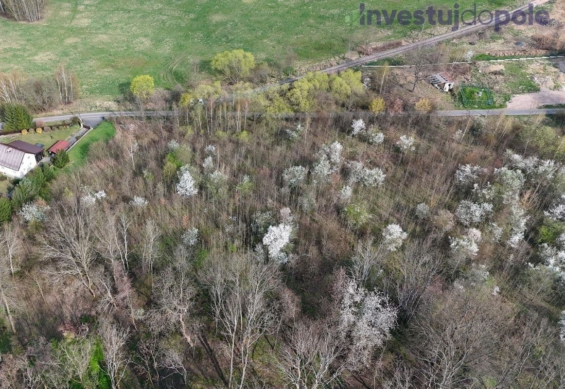 plot for sale, 8,600 m², Děčín, Ústecký Region plot for sale, 8,600 m², Děčín, Ústecký Region