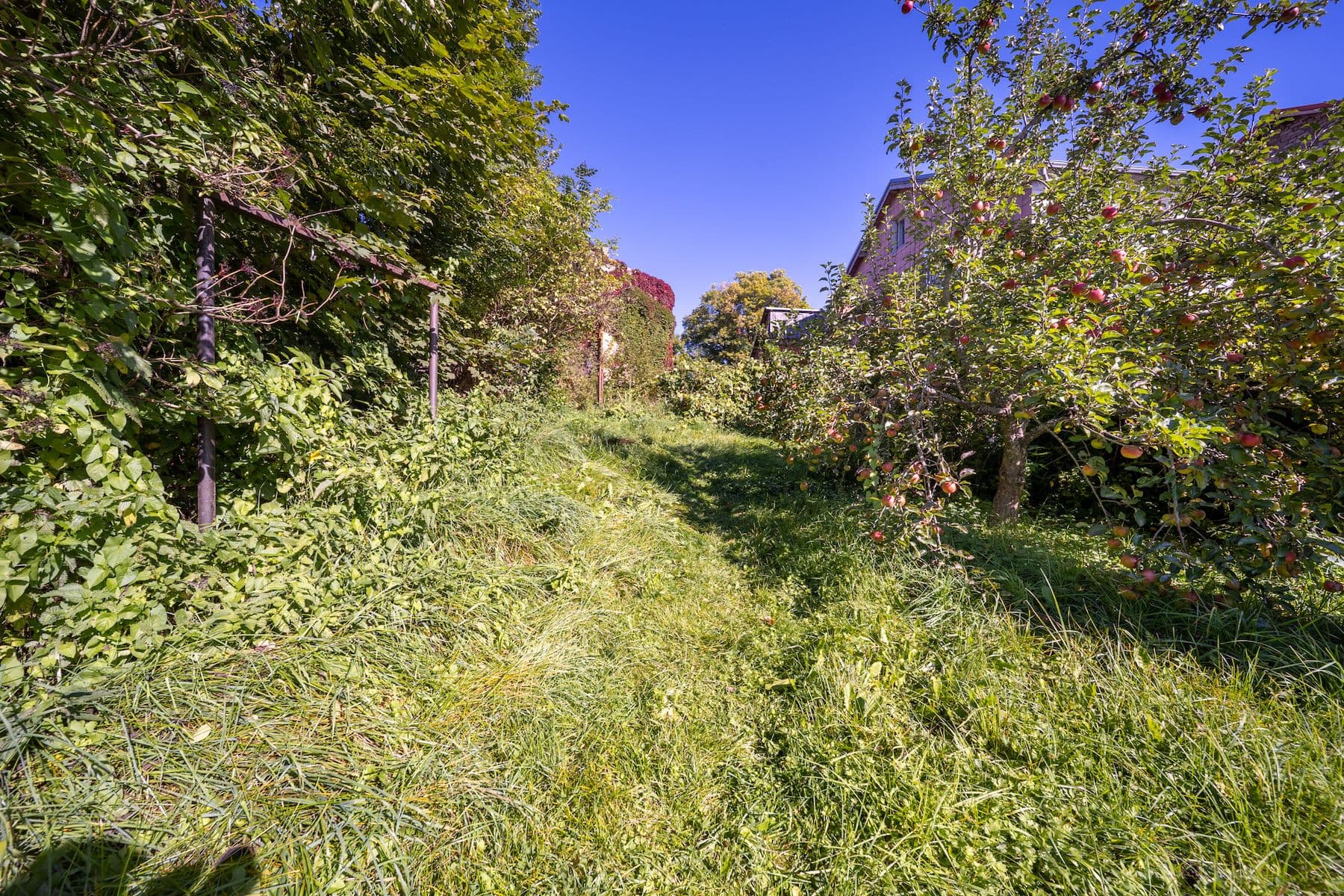 recreational property for sale, 572 m², Černá v Pošumaví, Jihočeský Region recreational property for sale, 572 m², Černá v Pošumaví, Jihočeský Region