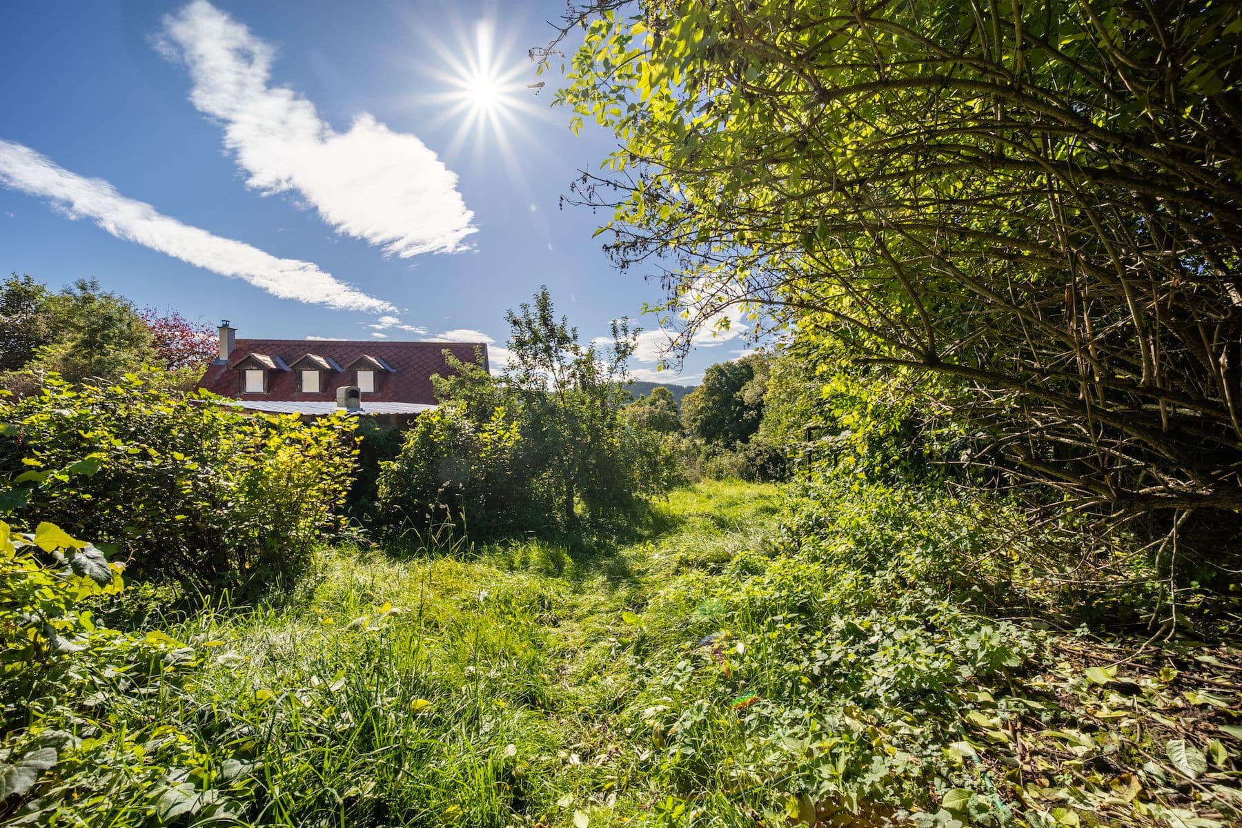 recreational property for sale, 572 m², Černá v Pošumaví, Jihočeský Region recreational property for sale, 572 m², Černá v Pošumaví, Jihočeský Region