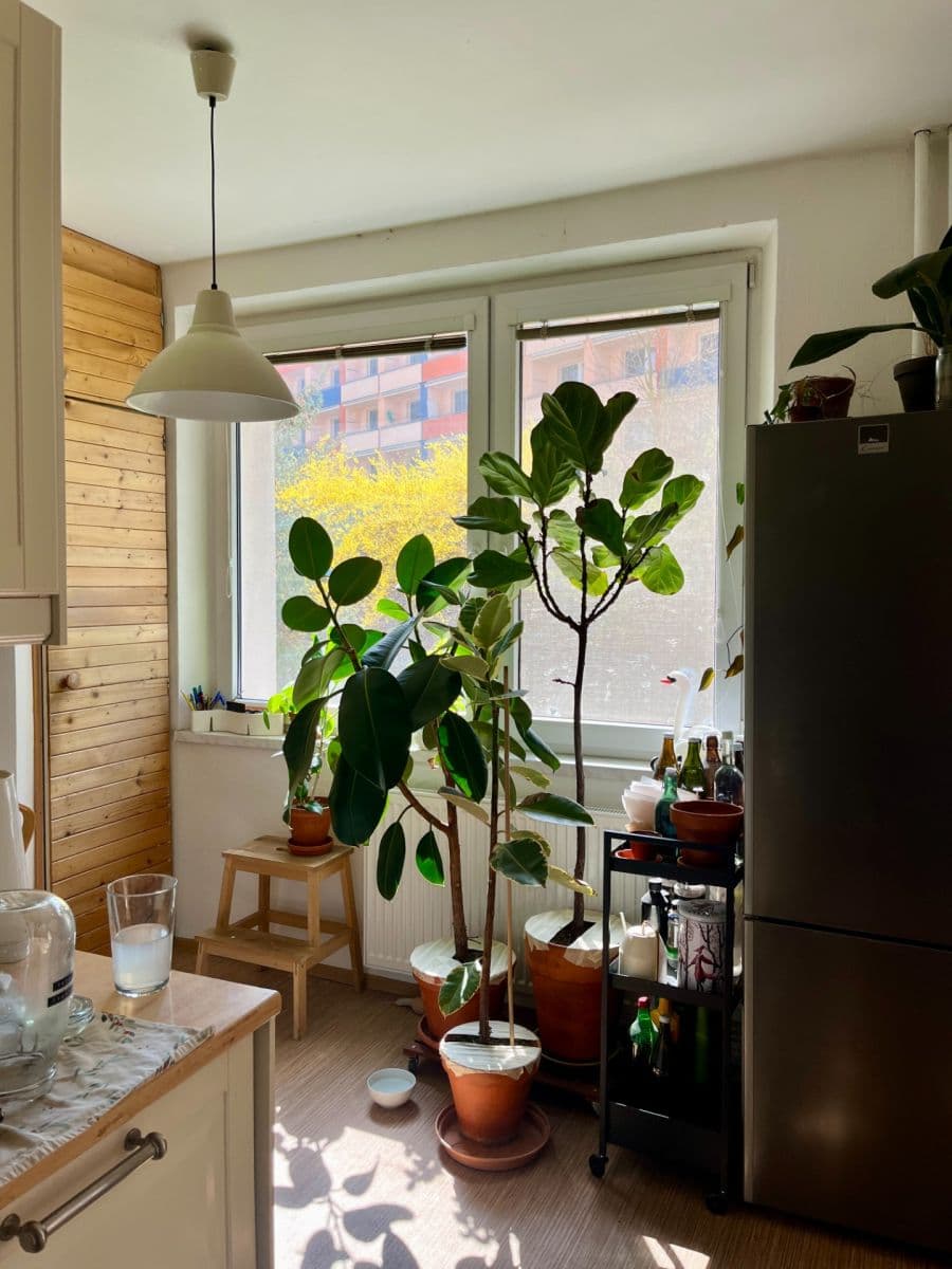 2 bedroom flat to rent, 62 m², Foltýnova, Brno, Jihomoravský Region 2 bedroom flat to rent, 62 m², Foltýnova, Brno, Jihomoravský Region