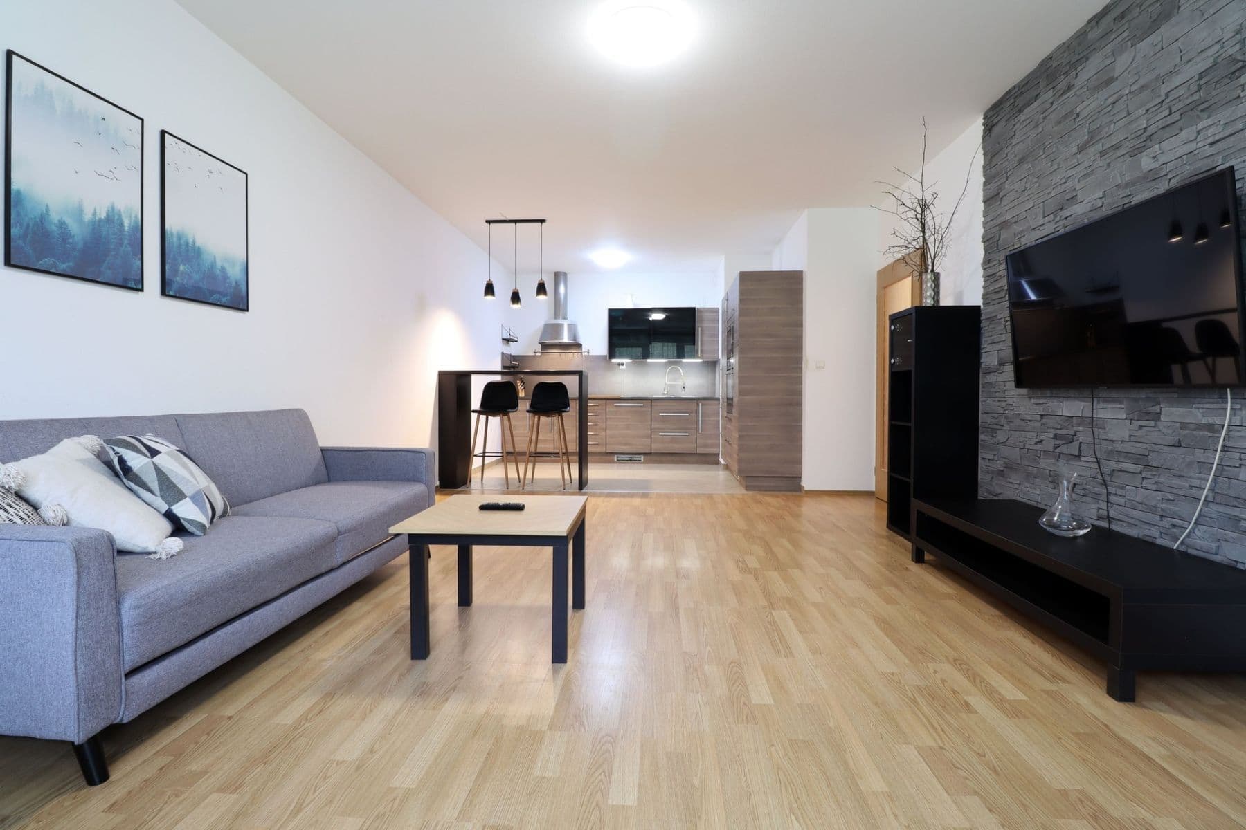 1 bedroom with open-plan kitchen flat to rent, 61 m², Přeučilova, Prague, Prague 1 bedroom with open-plan kitchen flat to rent, 61 m², Přeučilova, Prague, Prague
