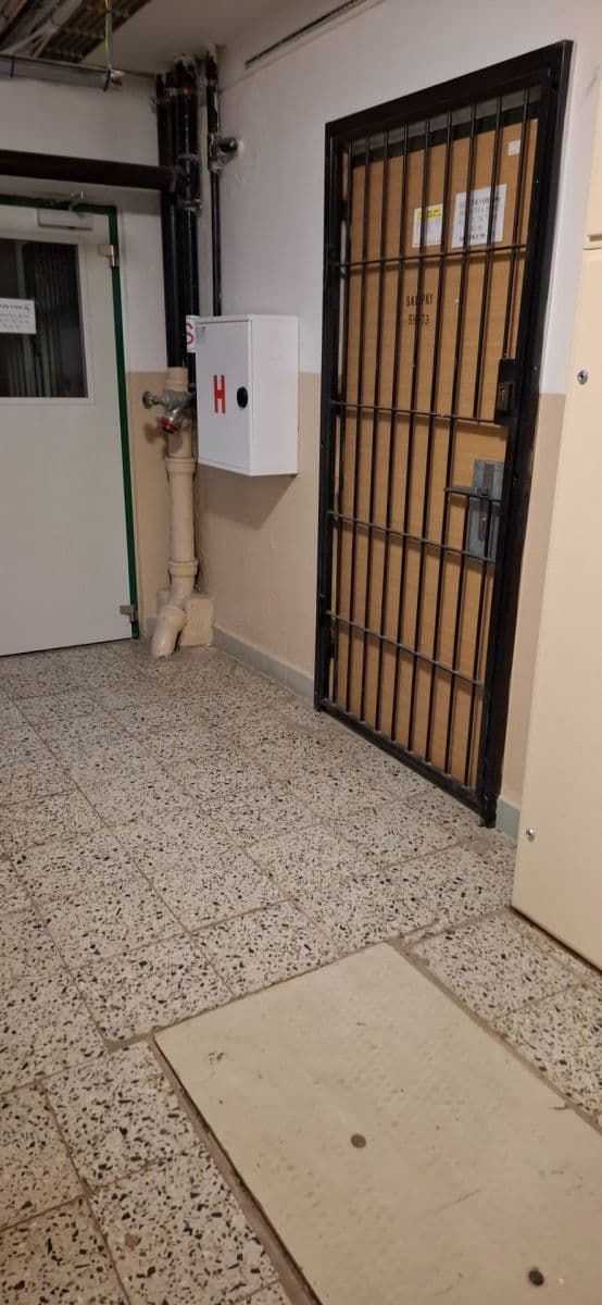 1 bedroom with open-plan kitchen flat for sale, 45 m², Amforová, Prague, Prague 1 bedroom with open-plan kitchen flat for sale, 45 m², Amforová, Prague, Prague