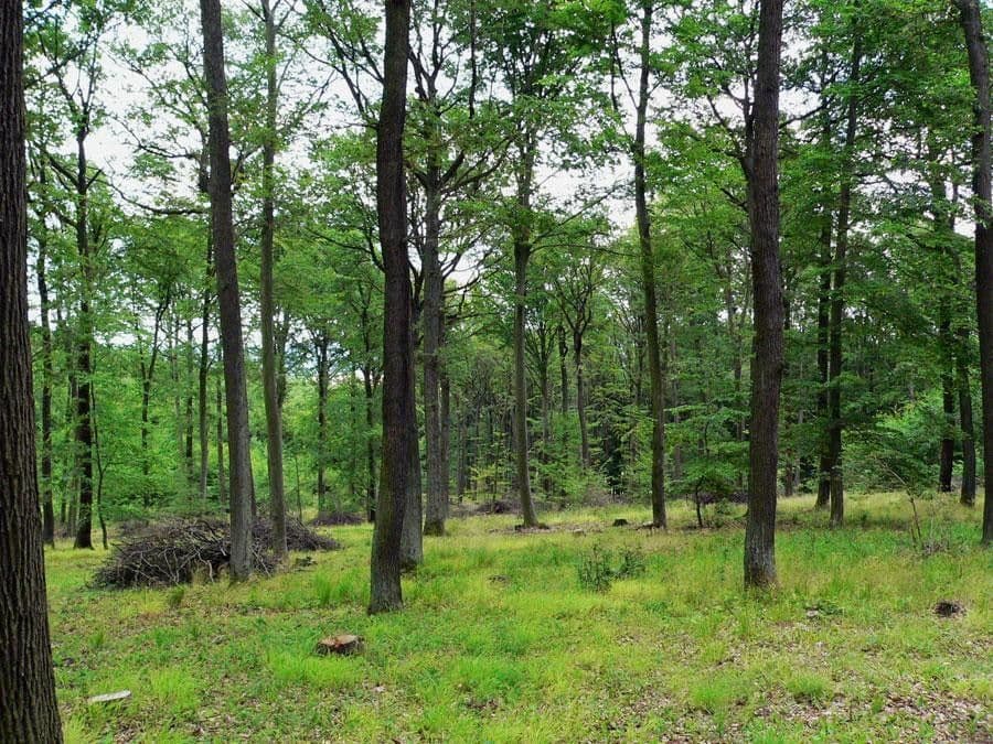 plot for sale, 908 m², Hvozdec, Jihomoravský Region plot for sale, 908 m², Hvozdec, Jihomoravský Region