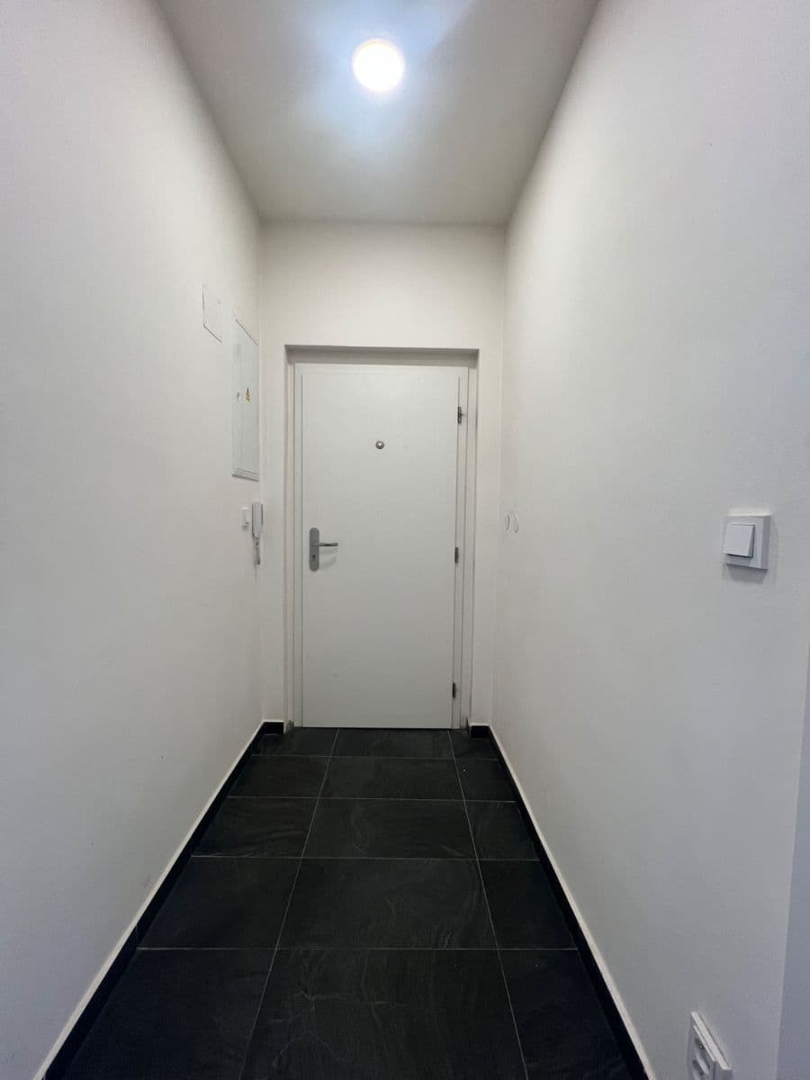 1 bedroom with open-plan kitchen flat to rent, 47 m², Holečkova, Prague, Prague 1 bedroom with open-plan kitchen flat to rent, 47 m², Holečkova, Prague, Prague