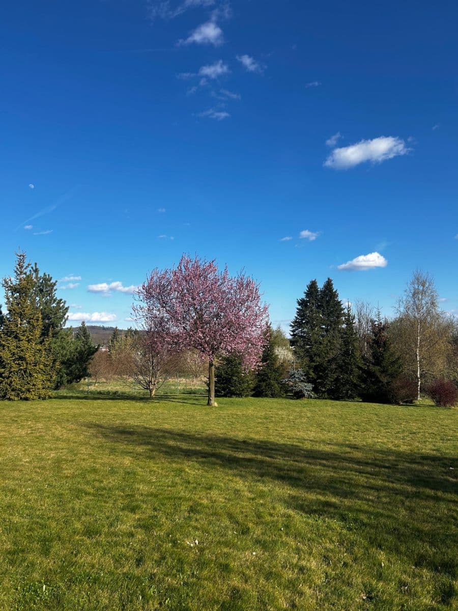 1 bedroom with open-plan kitchen flat for sale, 72 m², Za Školou, Velký Újezd, Olomoucký Region 1 bedroom with open-plan kitchen flat for sale, 72 m², Za Školou, Velký Újezd, Olomoucký Region