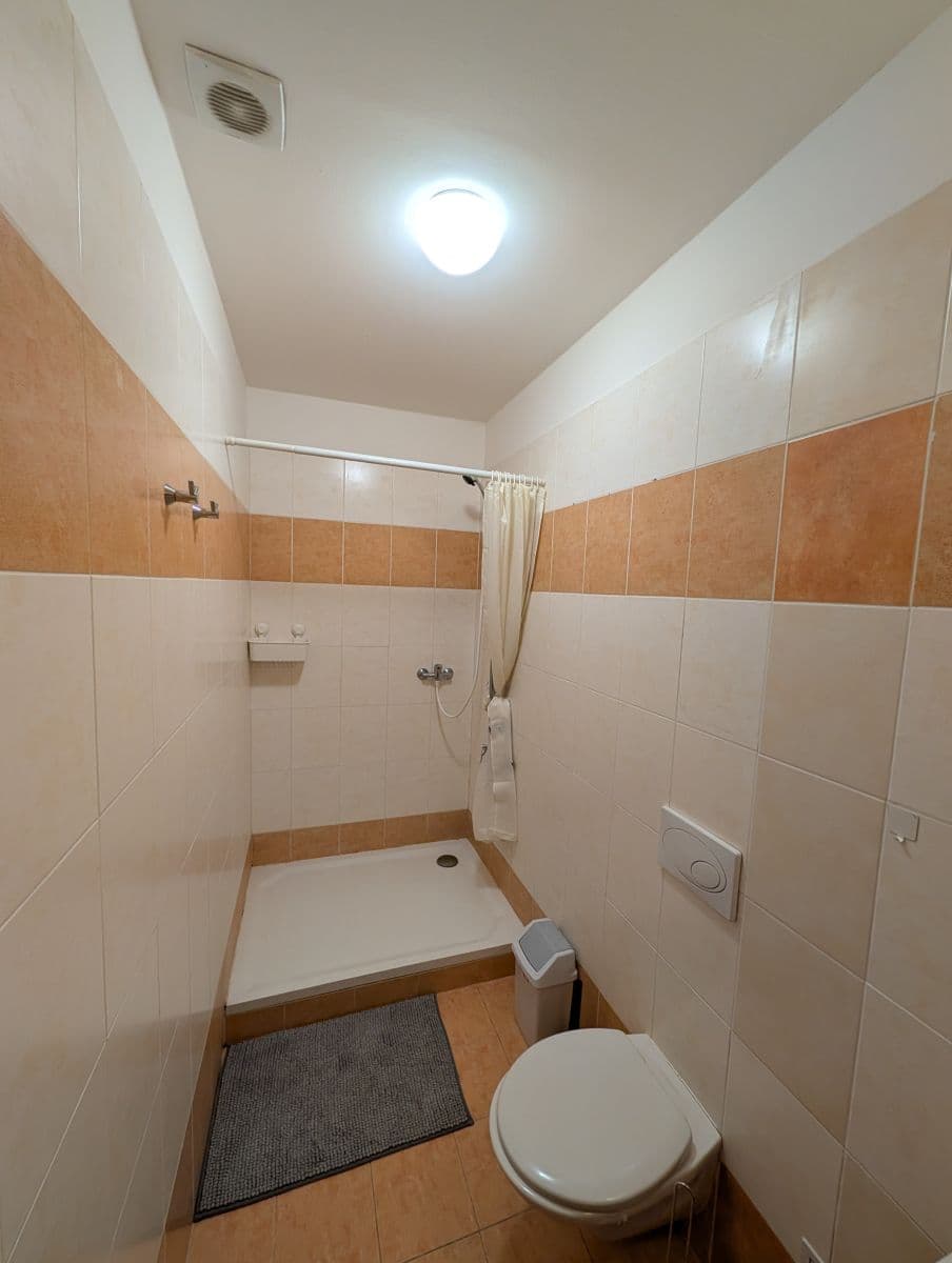 flat to rent, 16 m², Lublaňská, Prague, Prague flat to rent, 16 m², Lublaňská, Prague, Prague