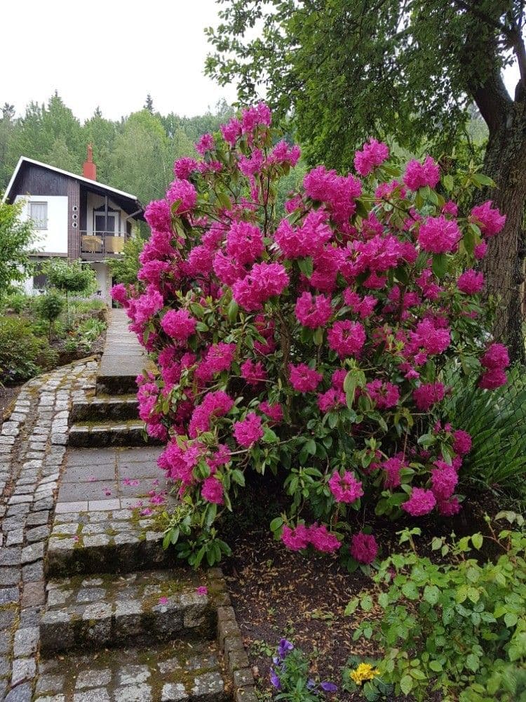 recreational property for sale, 357 m², Karlovy Vary, Karlovarský Region recreational property for sale, 357 m², Karlovy Vary, Karlovarský Region