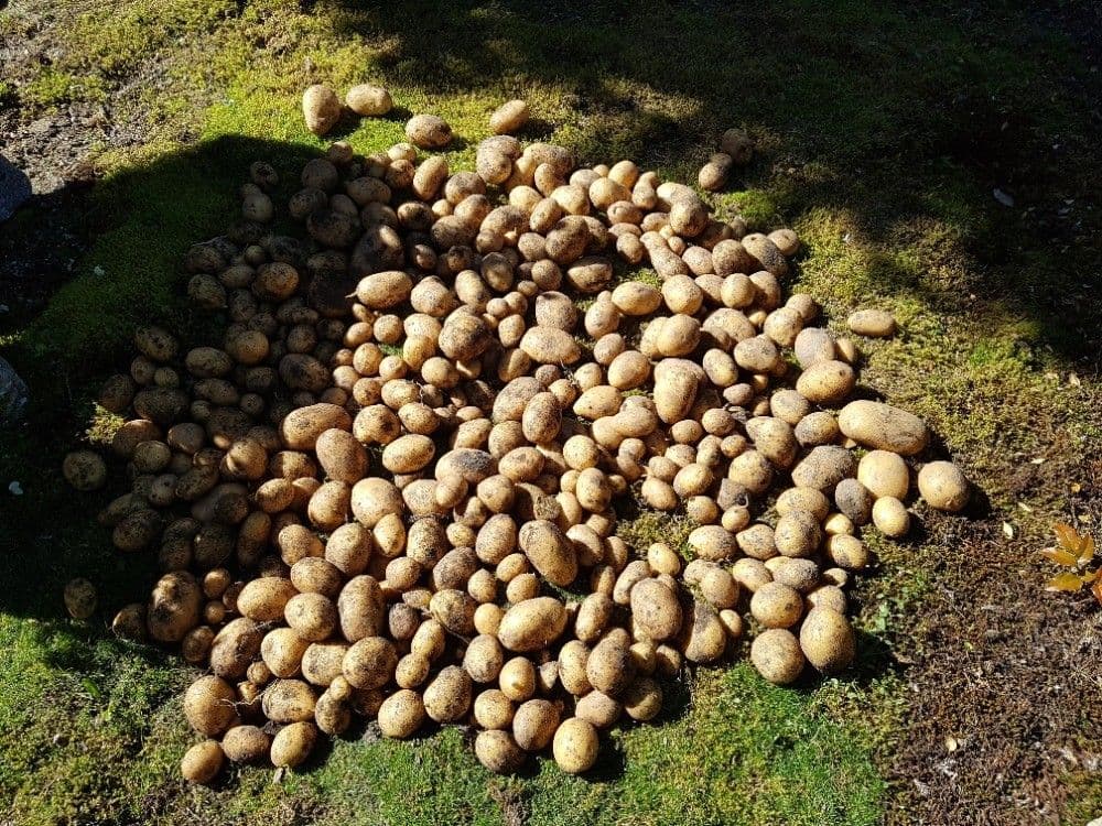 recreational property for sale, 357 m², Karlovy Vary, Karlovarský Region recreational property for sale, 357 m², Karlovy Vary, Karlovarský Region