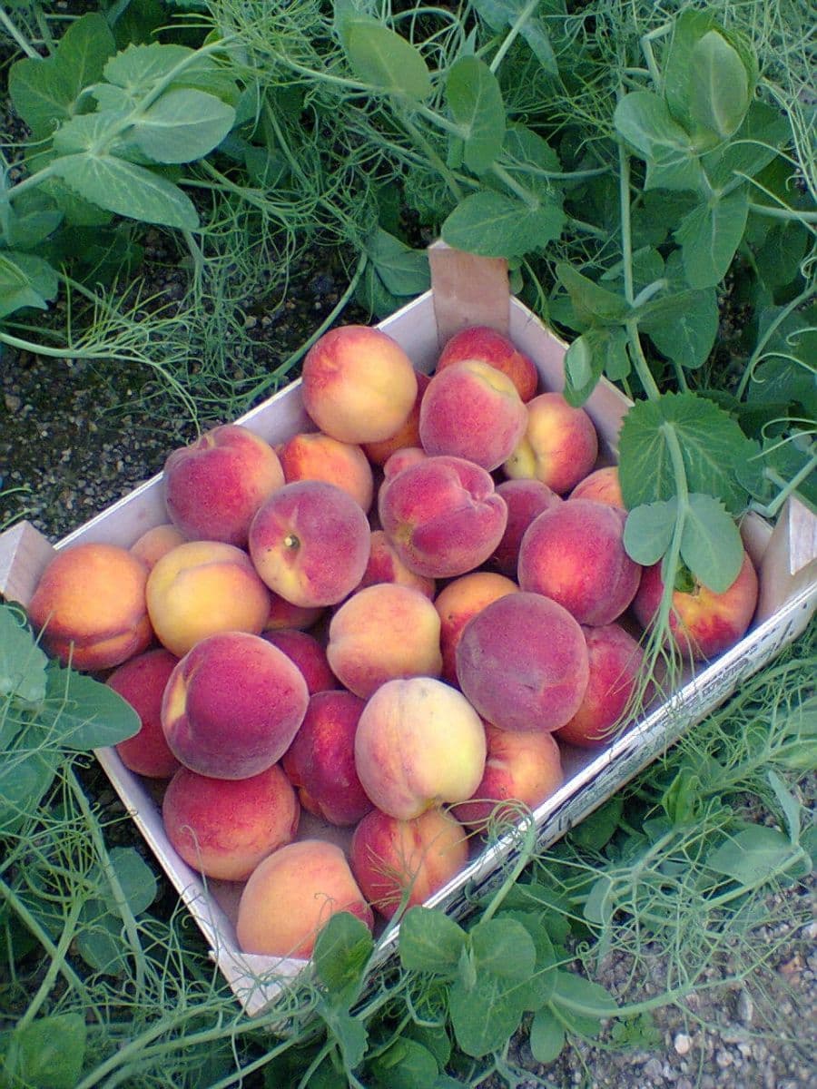 recreational property for sale, 357 m², Karlovy Vary, Karlovarský Region recreational property for sale, 357 m², Karlovy Vary, Karlovarský Region