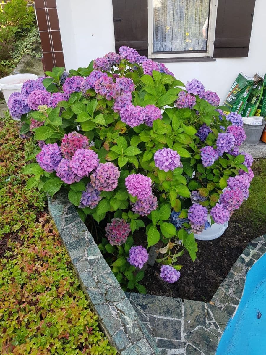 recreational property for sale, 357 m², Karlovy Vary, Karlovarský Region recreational property for sale, 357 m², Karlovy Vary, Karlovarský Region