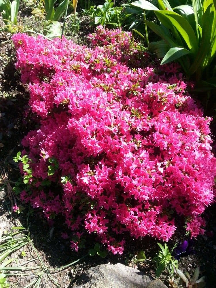 recreational property for sale, 357 m², Karlovy Vary, Karlovarský Region recreational property for sale, 357 m², Karlovy Vary, Karlovarský Region