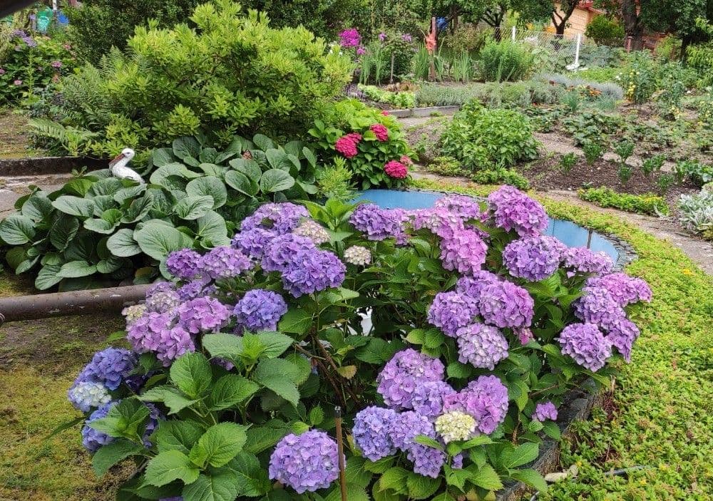 recreational property for sale, 357 m², Karlovy Vary, Karlovarský Region recreational property for sale, 357 m², Karlovy Vary, Karlovarský Region